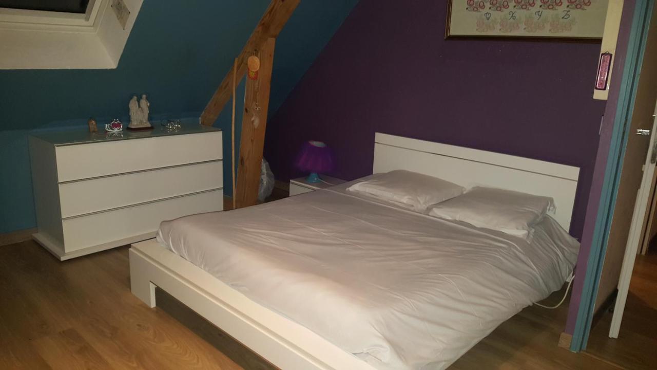 Chambre D'Hotes Chez L'Habitant 蒙卢索卢瓦尔 外观 照片